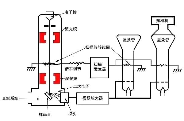 扫描電(diàn)镜的原理(lǐ)介绍