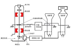 扫描電(diàn)镜的原理(lǐ)介绍